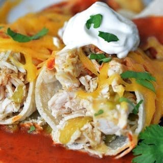 Chicken enchiladas topped with sour cream and cilantro.