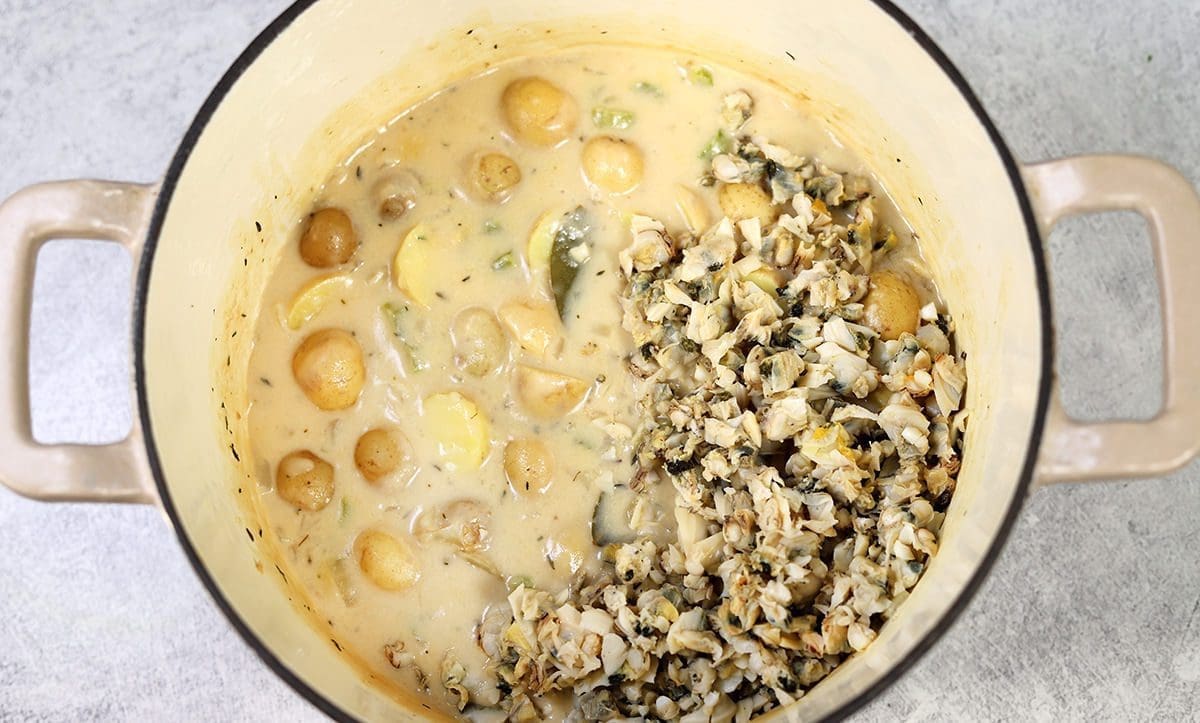 Chopped clams, tiny potatoes, bay leaves and cream mixed in a cream dutch oven. A black whisk is set inside the dutch oven.