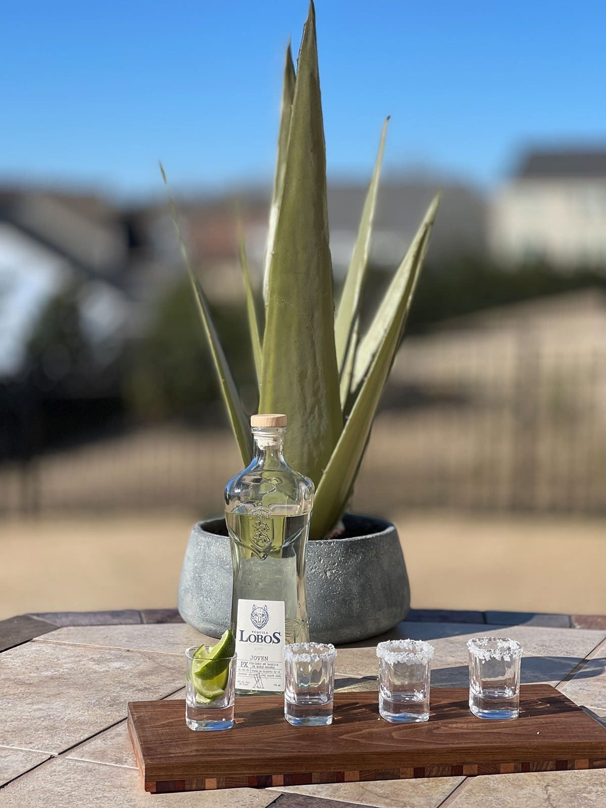 4 shots of white tequila on a wood cutting board. A cactus plant and bottle of tequila are in the background.