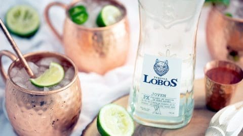 Bottle of Lobos Tequila, Moscow mules in copper mugs and lime wedges.