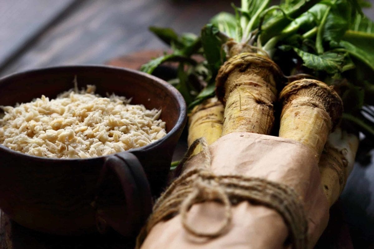 raw horseradish on wood for horseradish substitute article and prepared horseradish vs horseradish sauce article.