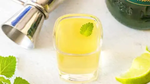 Green tea shot with a mint leaf garnish.