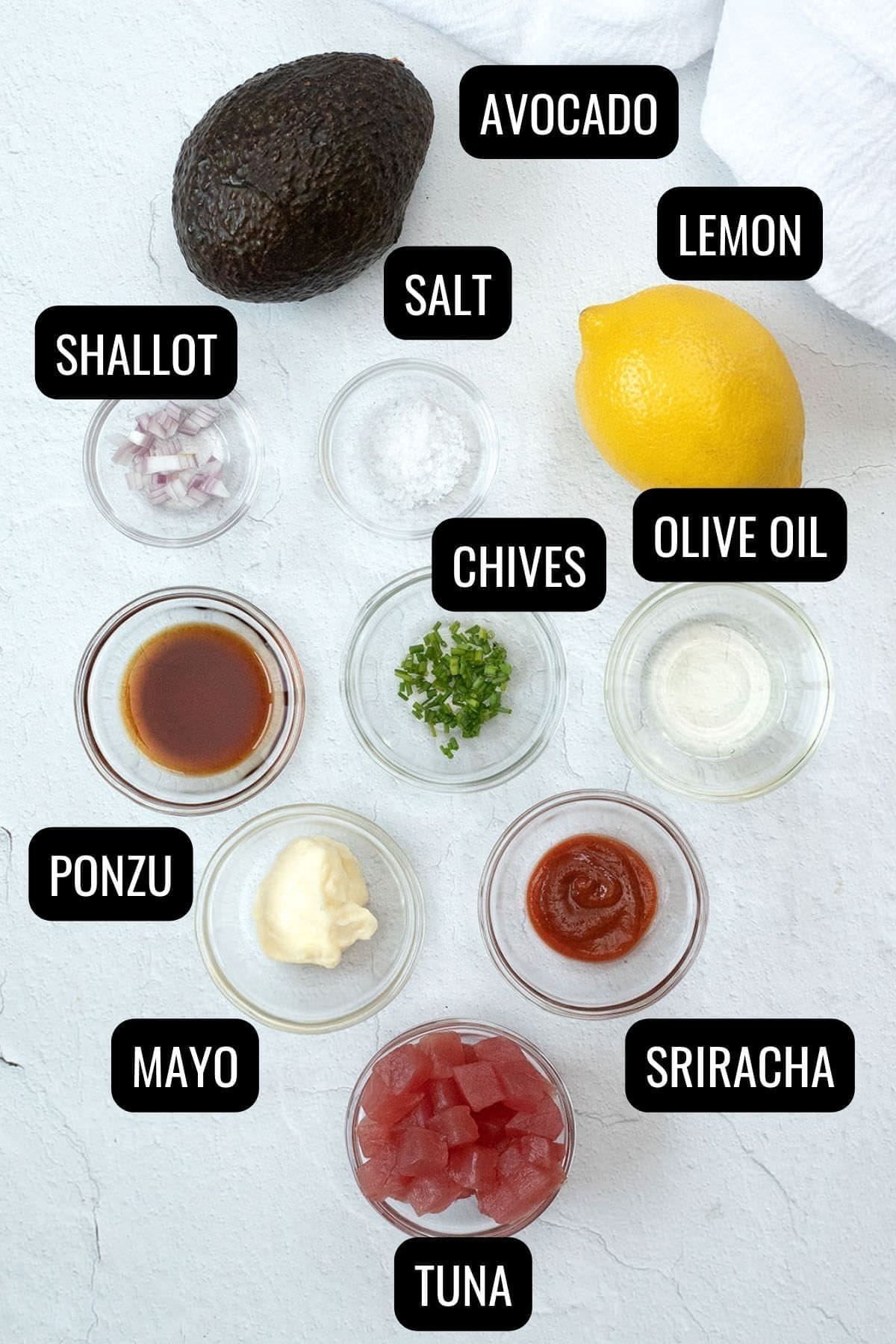 labeled photo showing the ingredients to make tartare.