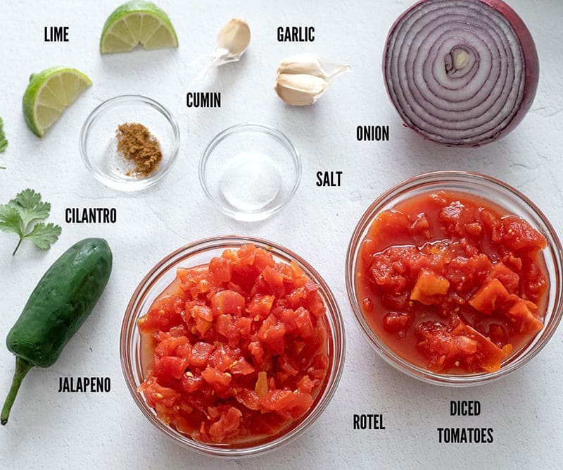 Labeled ingredients photo showing what's needed to make blender salsa.