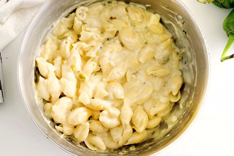 Pan of noodles in a silver saucepan. 