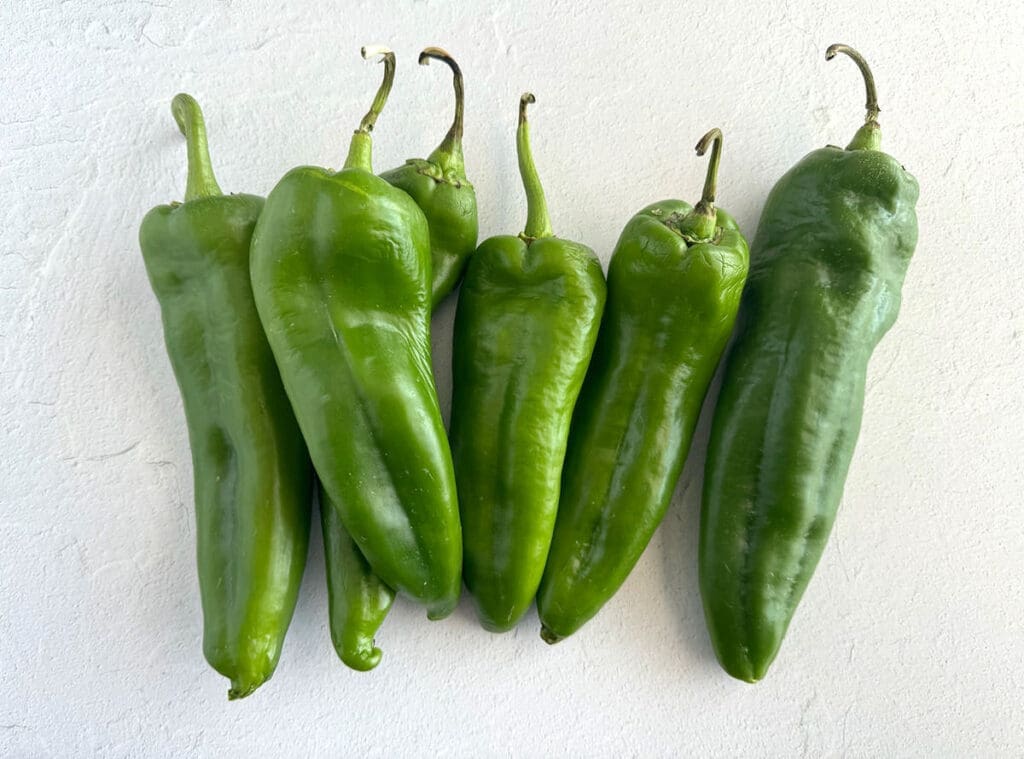 6 Fresh Hatch Green Chilies 