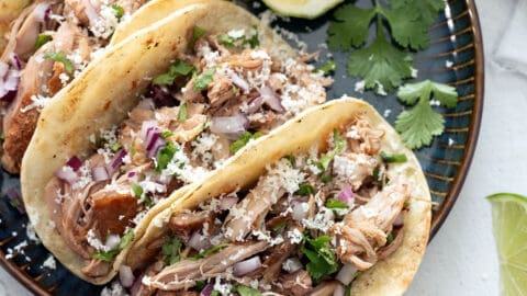 authentic pork carnitas tacos with cilantro and onion
