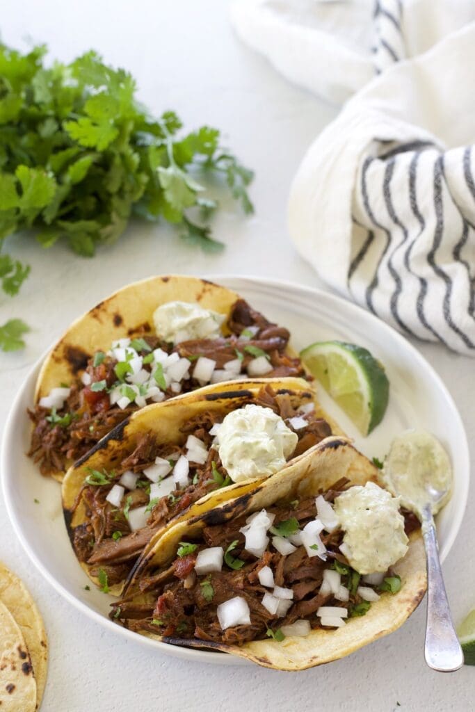 White plate with 3 Mexican shredded beef tacos.